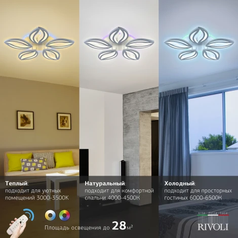 Потолочная люстра Rivoli Kriemhild 6055-105