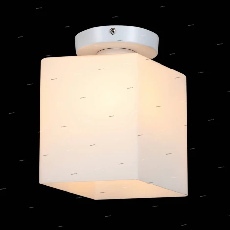 Настенно-потолочный светильник ST Luce Aspetto SL548.501.01