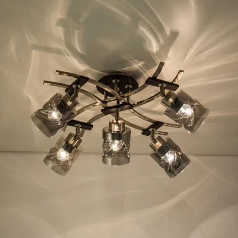 Потолочная люстра Citilux Мерида CL142155 (220V)