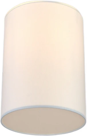 Потолочный светильник круглый Lighthall Camerona 30 LH022018 (круглые)