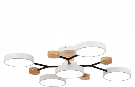 Потолочная люстра на штанге Evoluce Faema SLE6006-502-05