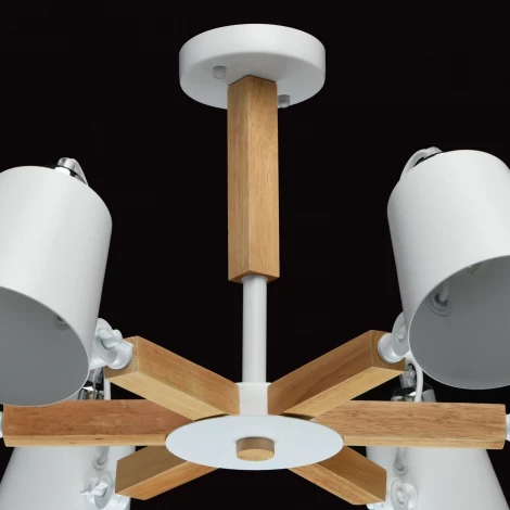 Потолочная люстра MW-Light Форест 693011106