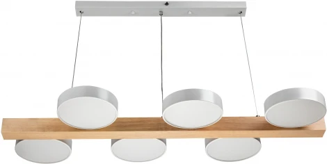 Подвесной светильник светодиодный Ritter Racemo 51608 2