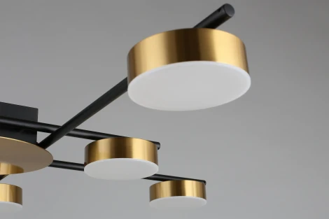 Потолочная люстра на штанге Aployt Delayn APL.042.07.56 (LED, 220V, круглые)