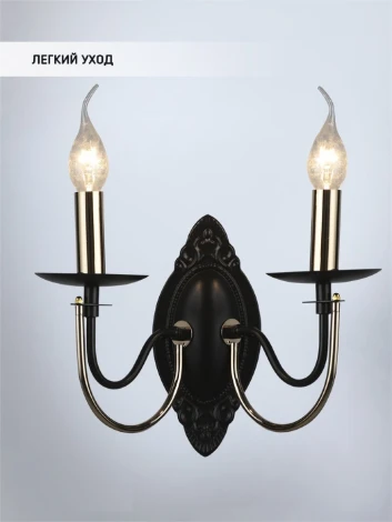 Бра Wedo Light Kali WD3540/2W-CF-FGD-CL