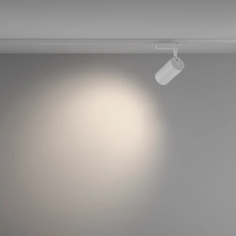 Трековый светильник Vuoro Unity 4000K 36Вт 60° LED (однофазный) Maytoni Technical TR003-1-36W4K-W-W (220V, круглые)