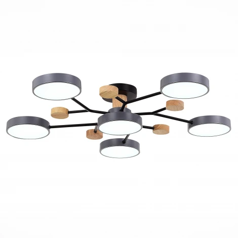 Потолочная люстра на штанге Evoluce Faema SLE6006-702-06