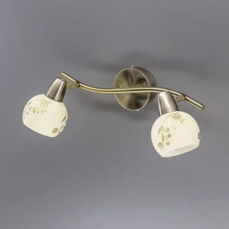 Спот на штанге Citilux Соната CL520523 (220V, цветы, круглые)