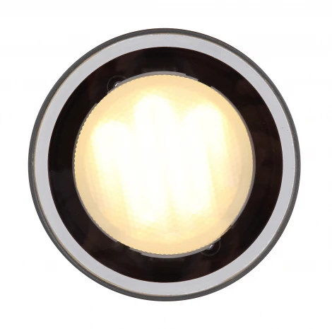 Потолочный светильник уличный светодиодный Alcala 32063A IP44 (220V, круглые)