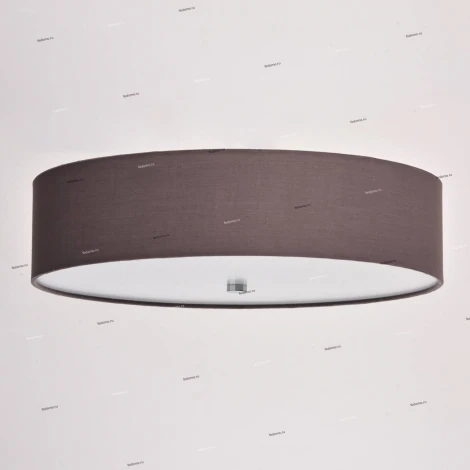 Потолочный светильник MW-Light Дафна 453011301