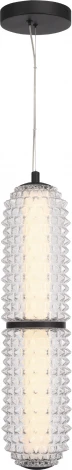 Подвесной светильник ST Luce Saguaro SL6144.403.01 черный/прозрачный LED 1*22W 4000K (220V, на тросе)