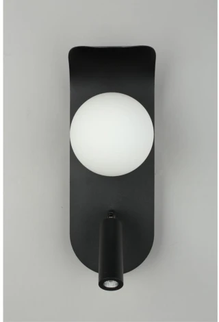 Настенный светильник LED Aployt Zofka APL.345.01.02 (220V, шар)