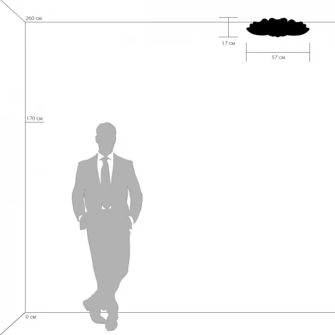 Потолочный светильник круглый Lightstar Lobo 804020 (220V)