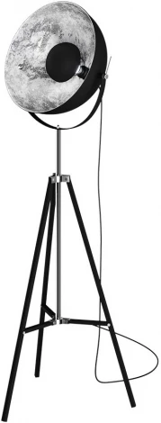 Торшер Zumaline Antenne TS-090522F-BKSI