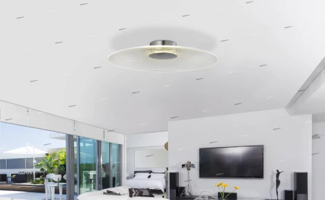 Потолочный светильник J-Light Milly 1063/21C