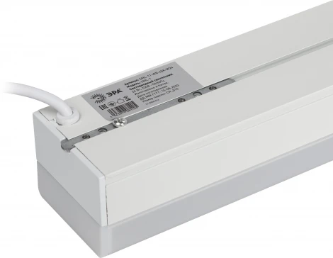 Настенно-потолочный светильник светодиодный ЭРА SML-11-WB-65K-W24 (220V, IP40)