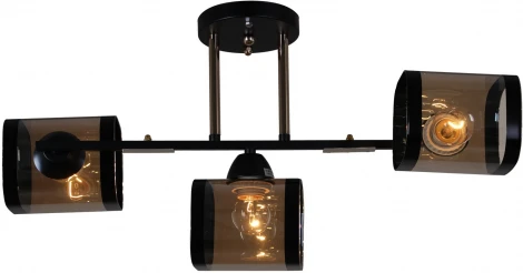 Потолочная люстра на штанге Reluce 09063-3.3-03 BK+FG (220V)