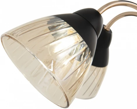 Потолочная люстра на штанге Arte Milano Napoli 320119/5 FG+BK (220V)