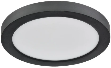 Потолочный светильник Sonex Nebula Black 7788/12L пластик/белый/черный LED 12Вт 3000/4000/6500К CCT/датчик движения