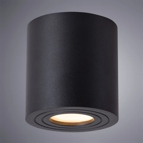 Потолочный светильник уличный Arte Lamp Galopin A1460PL-1BK (220V, круглые, IP44)