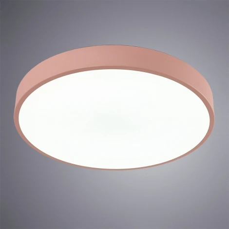 Потолочный светильник Arte Lamp Arena A2661PL-1PK
