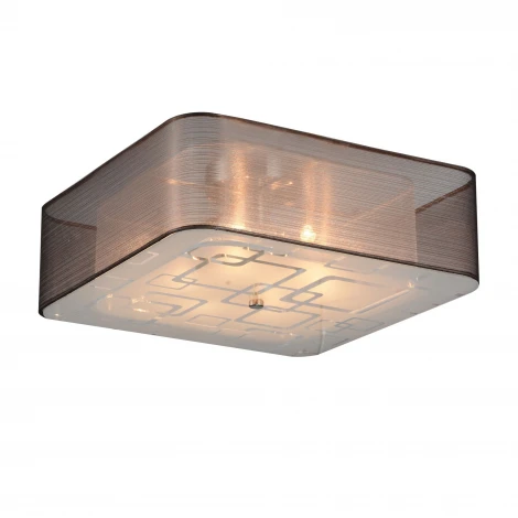 Потолочный светильник ST Luce Ajur SL940.802.06