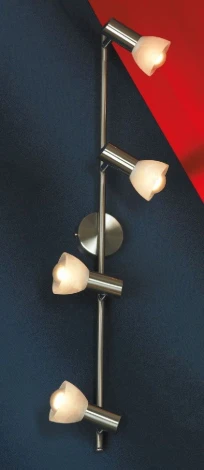 Спот Lussole Leggero LSQ-4109-04