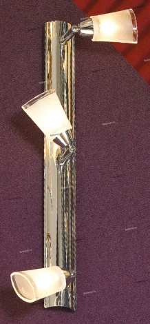 Настенно-потолочный светильник Lussole Rasen LSL-5091-03