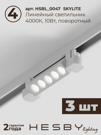 Трековая система в сборе однофазная встраиваемая 220V 30W Hesby Lighting Skylite №9 HSBL_kompl_S009_VI2W4K