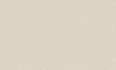 Обои виниловые Erismann Paradise 6 60114-13 10,05 x 1,06 м