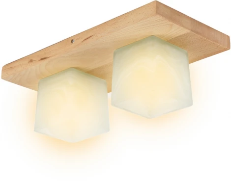 Потолочный светильник прямоугольный Мелодия Света SS1N 000036811