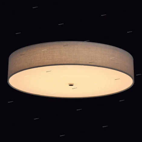 Потолочный светильник MW-Light Дафна 453011701