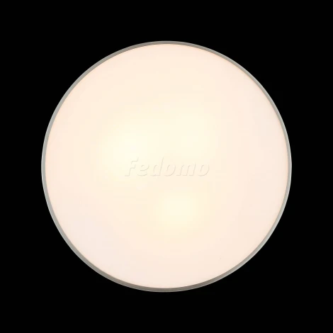 Настенно-потолочный светильник ST Luce Bagno SL468.502.03
