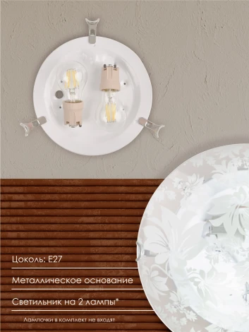 Настенно-потолочный светильник Мелодия Света WA1N 000059679