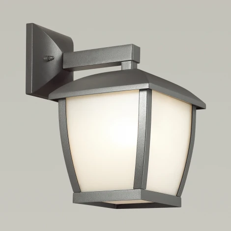 Настенный фонарь уличный Odeon Light Tako 4051/1W