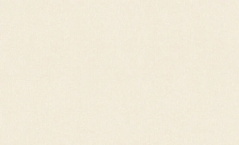 Обои виниловые Erismann Bolero 60062-02 10,05 x 1,06 м