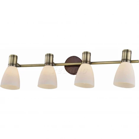 Спот Toplight Sharyl TL3720Y-04BB