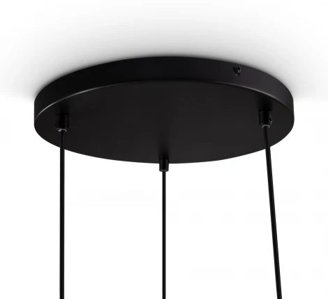 Подвесной светильник Freya Tesse FR1011PL-03B (220V, на проводе)