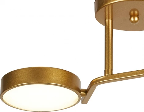 Потолочная люстра на штанге светодиодная Escada Starlight 10273/2LED 24Вт, металл/пластик, шампань (220V)