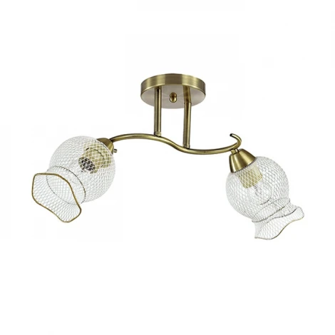 Потолочная люстра Lumion Rozetta 3109/2C