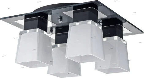 Потолочный светильник Lussole Lente LSC-2507-04 (220V, IP21)