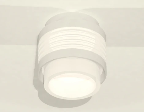 Накладной точечный светильник Ambrella Techno Spot XS8431001 (220V, круглые)