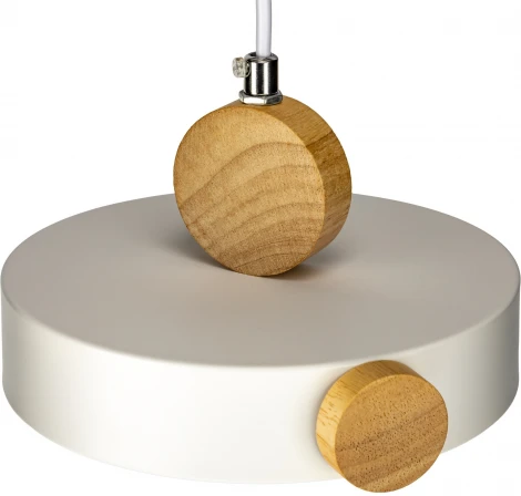 Подвесной светильник светодиодный Ritter Scandia 52077 1