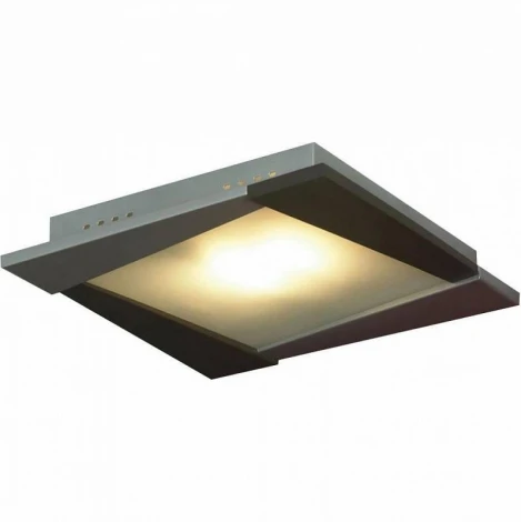Настенно-потолочный светильник Lussole Cefone LSQ-8002-01