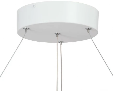 Подвесной светильник светодиодный V4676-0/2S (220V, круглые)