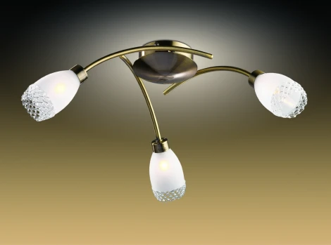 Потолочная люстра Odeon Light Lerta 1803/3C