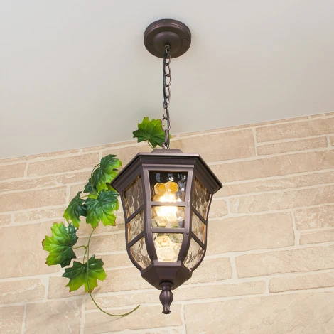 Уличный светильник подвесной Elektrostandard Dorado GL 1013H (220V, на цепи, круглые, IP44)