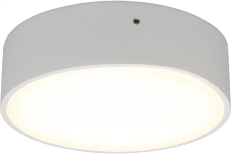 Потолочный светильник круглый Aployt Evon APL.0113.09.12 (LED, 220V, круглые)