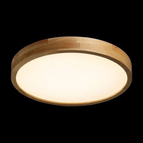 Потолочный светильник круглый светодиодный De City Норден 660015501