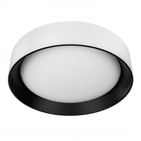 Потолочный светильник светодиодные Loft It Coin 10202 WB